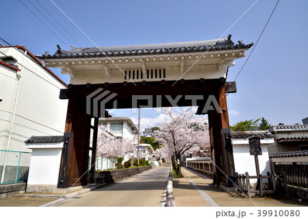 春の伊賀上野城　白鳳門　上野城　白鳳城　三重県伊賀市 39910080