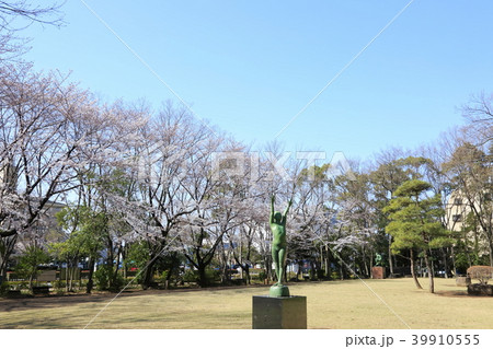 埼玉県戸田市の風景　後谷公園　桜 39910555
