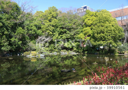 埼玉県戸田市の風景 後谷公園 埼玉県戸田市の風景 後谷公園 39910561