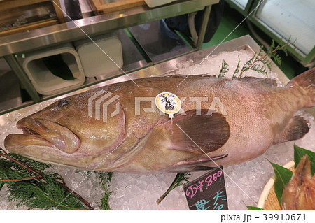 クエ クエ 39910671