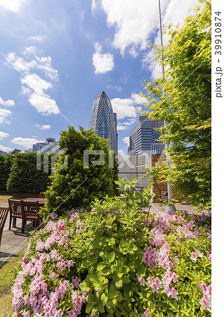 花のある屋上ガーデンテラス 花のある屋上ガーデンテラス 39910874