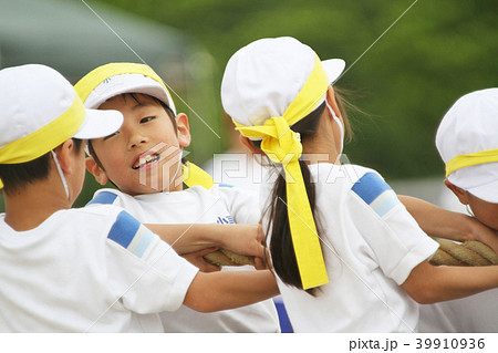 小学校の運動会 綱引き 39910936
