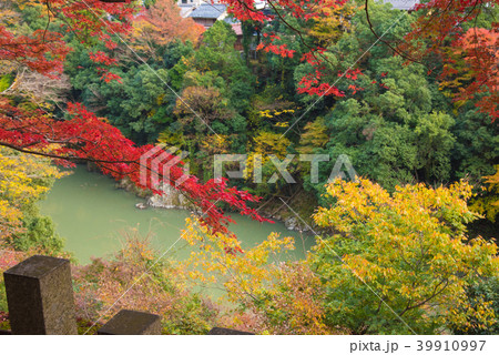 永源寺の紅葉 39910997