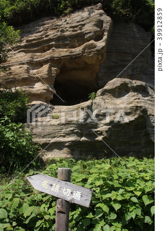 法性寺から名越切通へ行く途中の切岸 法性寺から名越切通へ行く途中の切岸 39912859