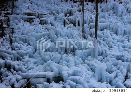 秩父市あしがくぼの氷柱 秩父市あしがくぼの氷柱 39913654