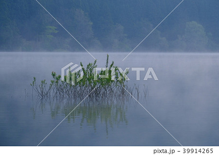朝霧の室生湖（奈良県宇陀市） 39914265
