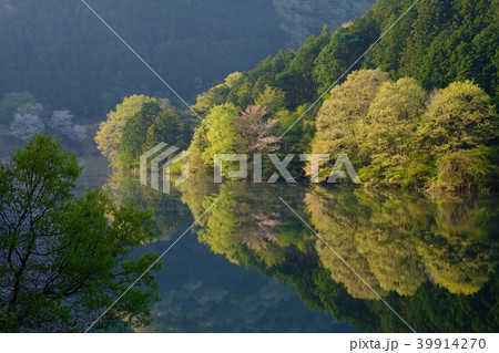 桜咲く新緑の室生湖（奈良県宇陀市） 39914270