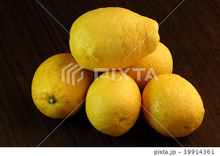弓削瓢柑,柑橘類のヒョウカン 弓削瓢柑,柑橘類のヒョウカン 39914361