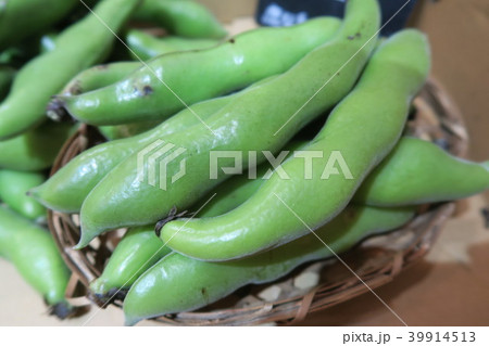 そらまめ 39914513