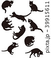 寝たり座ったり 猫のシルエット 39915611