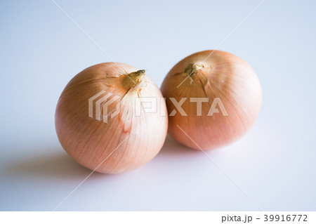 札幌黄　たまねぎ 39916772