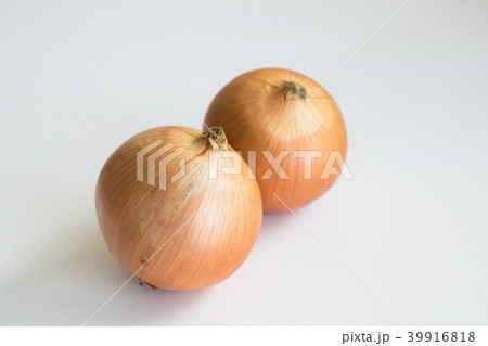 札幌黄　たまねぎ 39916818