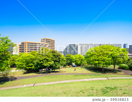 新緑の公園とマンション 新緑の公園とマンション 39916823