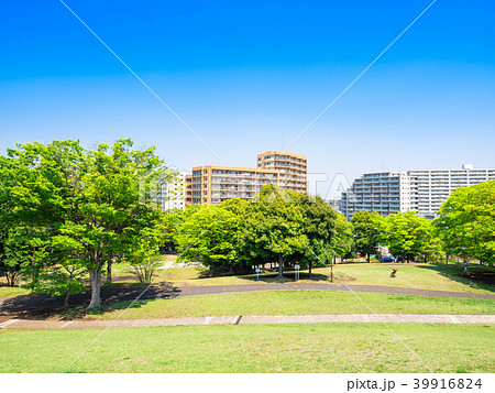 新緑の公園とマンション 39916824