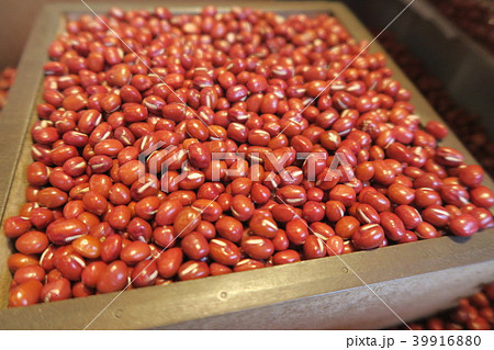 小豆    あずき 39916880