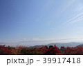 空と紅葉 39917418