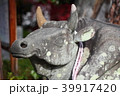天満宮の牛 39917420