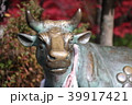 天満宮の牛 39917421