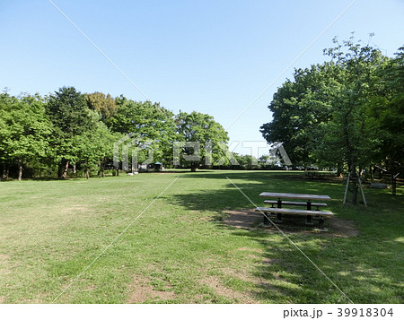 本牧山頂公園・観山広場・ひざくらの丘（神奈川県横浜市中区） 39918304