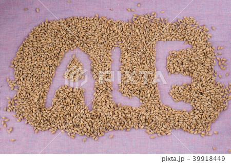 inscription ale with malt grains on lilac textile inscription ale with malt grains on lilac textile 39918449