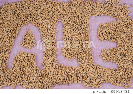 inscription ale with malt grains on lilac textile inscription ale with malt grains on lilac textile 39918451