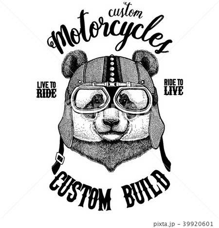 Panda, bamboo bear. Biker, motorcycle animal. Hand 39920601