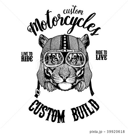 Wild tiger Biker, motorcycle animal. Hand drawn Wild tiger Biker, motorcycle animal. Hand drawn 39920618