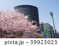 桜 千鳥ヶ淵 39923023