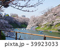 桜 千鳥ヶ淵 39923033