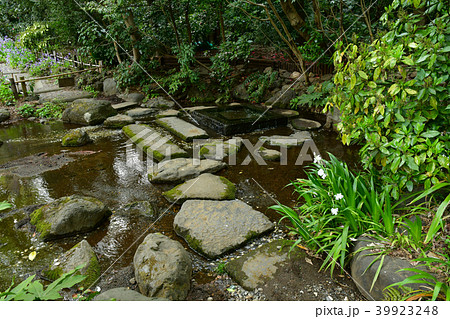 お茶の水 39923248