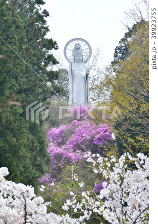 大渕寺の観音様 大渕寺の観音様 39923755