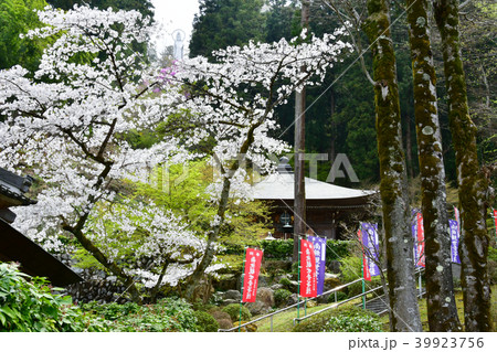 大渕寺 39923756