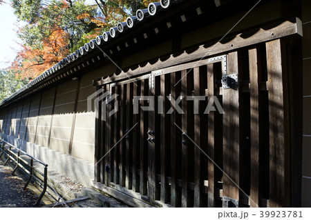 土塀　京都御所　秋　紅葉　京都観光 39923781