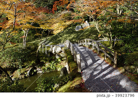 日本庭園　秋　紅葉　京都観光　仙洞御所 39923796