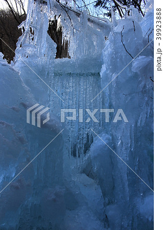 秩父三大氷柱(尾ノ内渓谷百景氷柱) 秩父三大氷柱(尾ノ内渓谷百景氷柱) 39923888