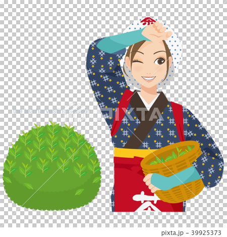 がんばるオンナノコ 茶摘み娘 がんばるオンナノコ 茶摘み娘 39925373