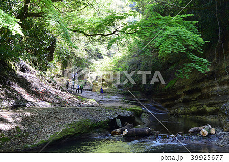 東椎野の滝 東椎野の滝 39925677