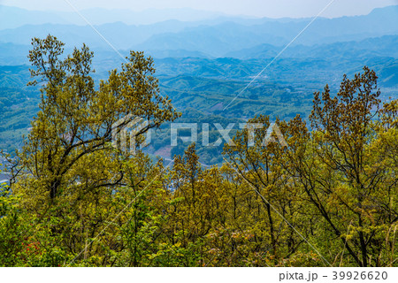 春の美の山 蓑山からの秩父山地の連なる眺望 三宝山・甲武信ヶ岳方向 春の美の山 蓑山からの秩父山地の連なる眺望 三宝山・甲武信ヶ岳方向 39926620