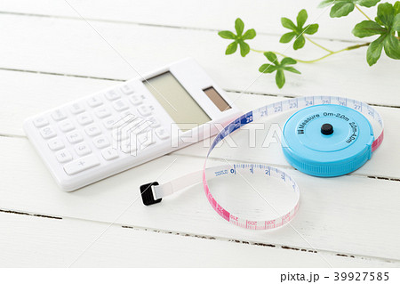 スケール スケール 39927585