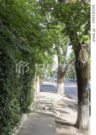 Summer street in the city. Summer street in the city. 39928399