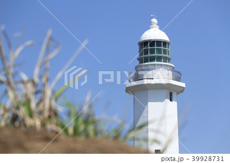 野島埼灯台(南房総市) 39928731