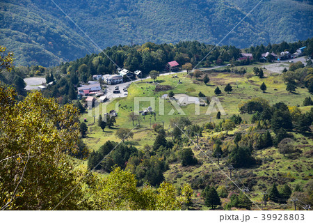 秋の山田牧場、長野県 39928803