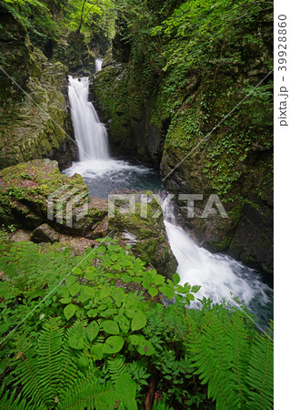 飛騨小阪 巌立峡の三ツ滝 飛騨小阪 巌立峡の三ツ滝 39928860