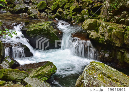 飛騨小阪 巌立峡の三ツ滝コース 飛騨小阪 巌立峡の三ツ滝コース 39928961