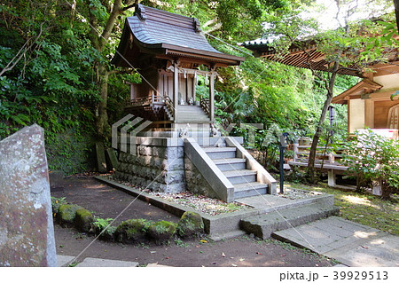 龍口寺 龍口寺 39929513