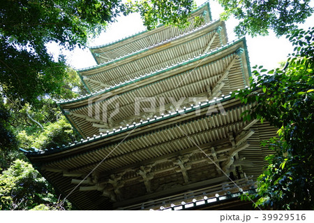 龍口寺 龍口寺 39929516