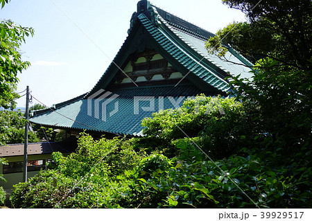 龍口寺 龍口寺 39929517