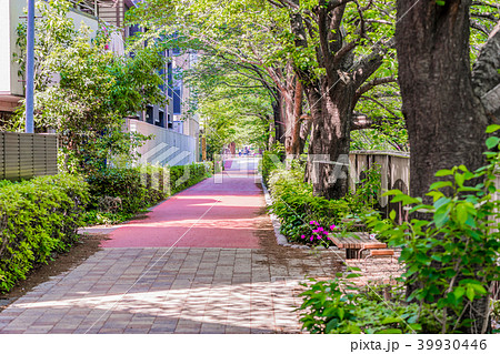 【東京都】中目黒 39930446