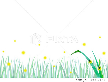 背景素材_ゲンジボタル 39932165