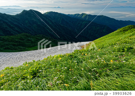 ニッコウキスゲ咲く飯豊連峰縦走路と残雪 39933626